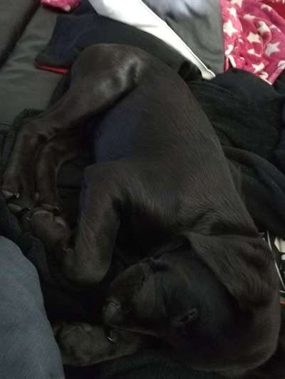 Schlafposition-Beitrag-Bild