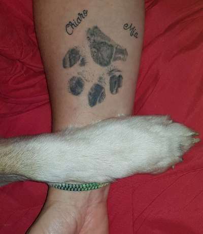 Erinnerungs Tattoos-Beitrag-Bild