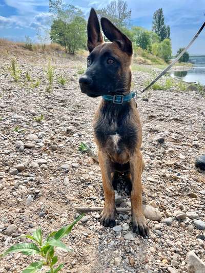 35. Handy Foto Challenge - Das nasse Element-Beitrag-Bild