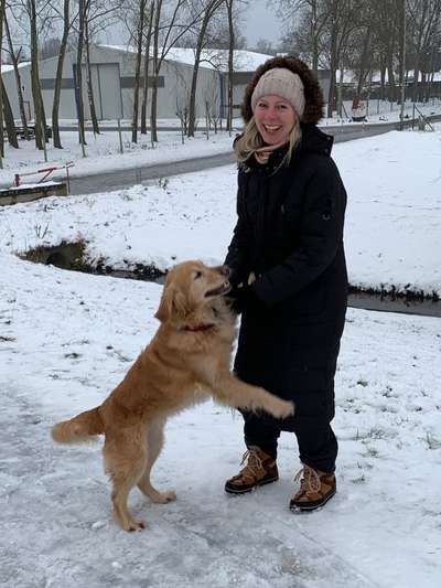 Hundmenschfotos-Beitrag-Bild