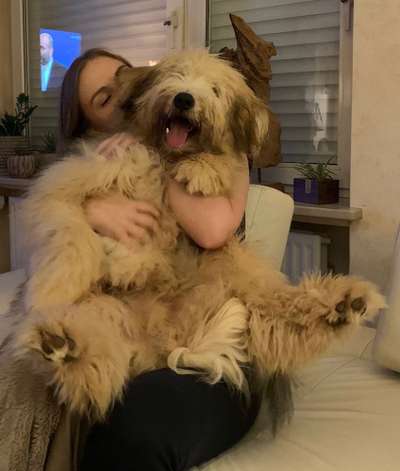 Wie heißt dein Hund?-Beitrag-Bild