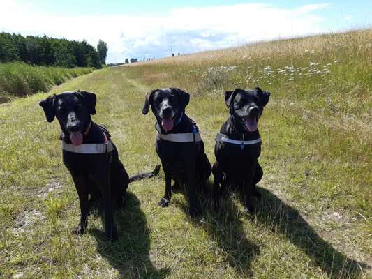 Klischeedenken einiger Menschen-Beitrag-Bild