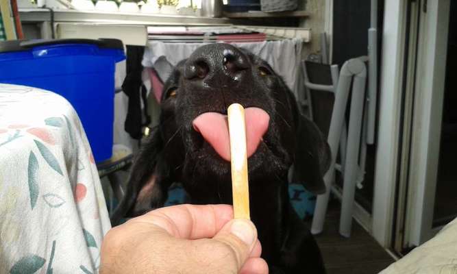 Tongue Out Tuesday-Beitrag-Bild