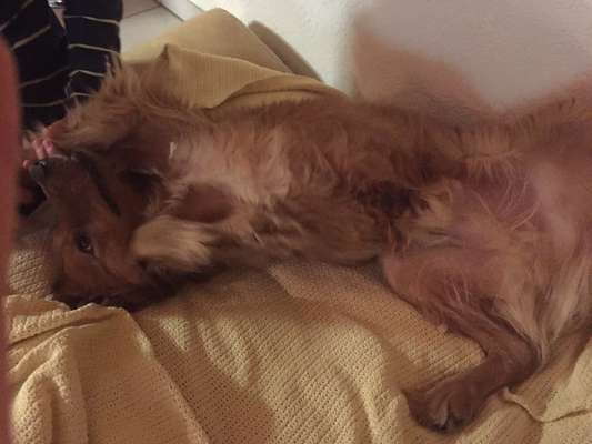 Fotochallange Nummer 5-Beitrag-Bild