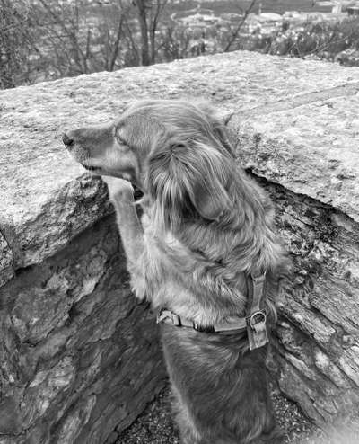 3. Farben/Fotochallenge: Schwarz/Weiß-Beitrag-Bild