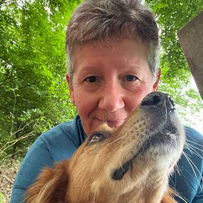 Hundetreffen-Gemeinsame Spaziergänge