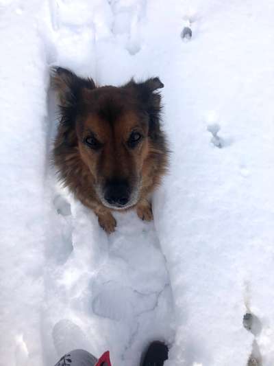 Handy-Foto Challange Nr. 10-Beitrag-Bild