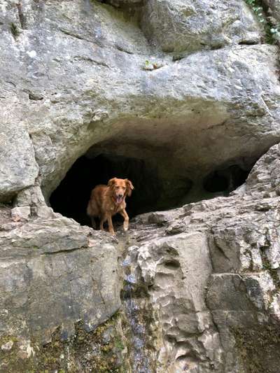 Fotochallenge Nr.100 Urlaubsimpressionen-Beitrag-Bild