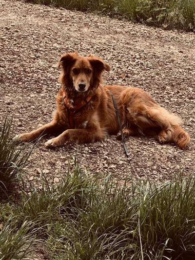 FarbenFoto - Challenge: Sepia-Beitrag-Bild