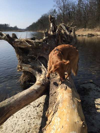 27. Handy Fotochallenge-Beitrag-Bild