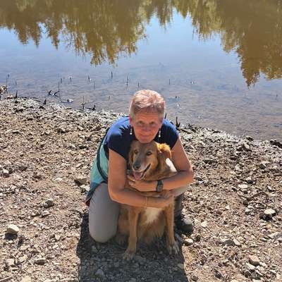 Hundetreffen-Gemeinsame Spaziergänge