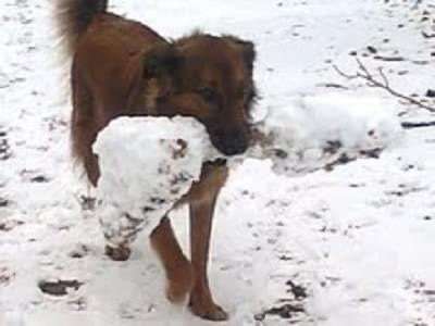 19. Handy - Foto - Challenge-Beitrag-Bild