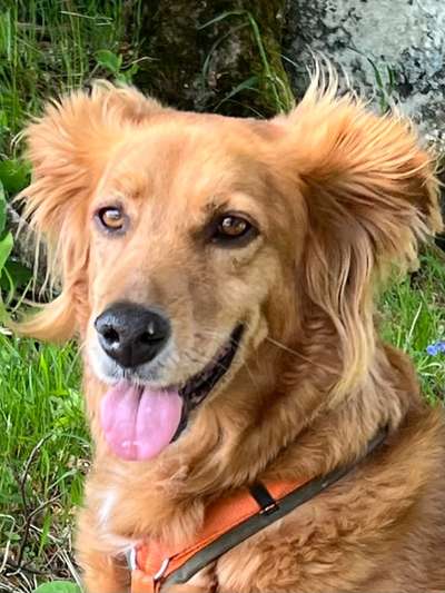 Dogorama Photo Challenge - Details Ganz nah-Beitrag-Bild