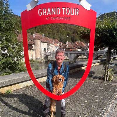 Hundetreffen-Gemeinsame Spaziergänge