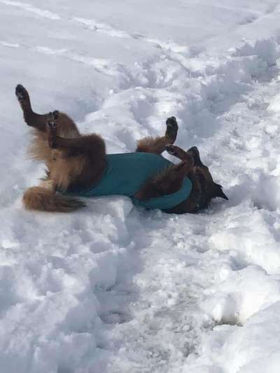 Handy-Foto-Challange Nr.9-Beitrag-Bild