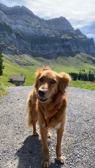 Fotochallenge Nr 107-Beitrag-Bild