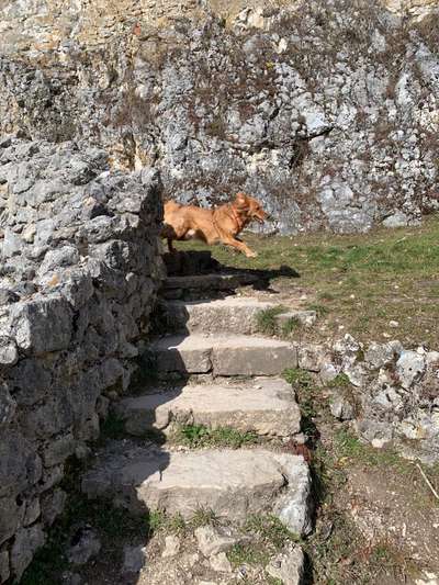 Lustige Grimassen & verrückte Posen-Beitrag-Bild