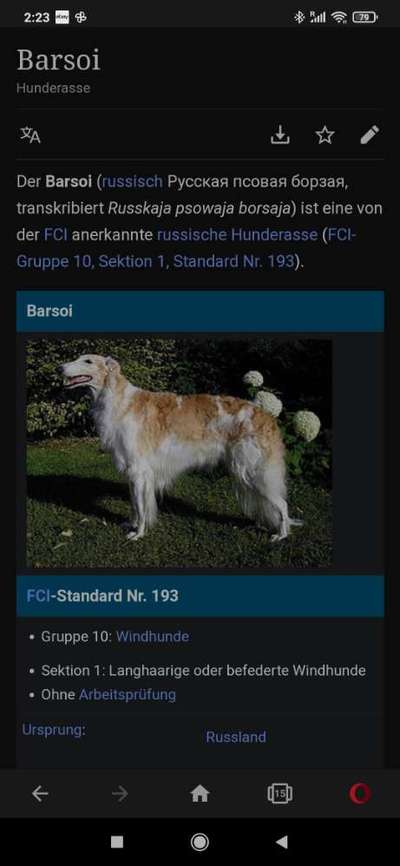 Zeigt her eure Kolosse!-Beitrag-Bild