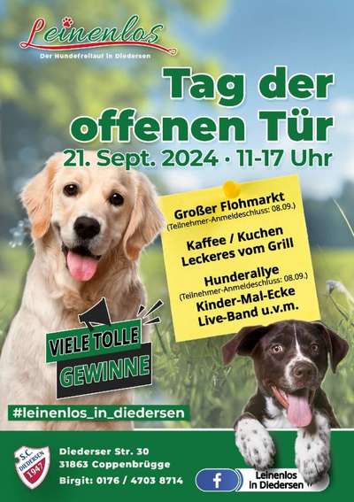 Hundetreffen-Leinenlos - der Hundefreilauf in Diedersen - Tag der offenen Tür-Bild