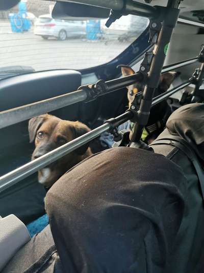 gründe stolz zu sein-Beitrag-Bild