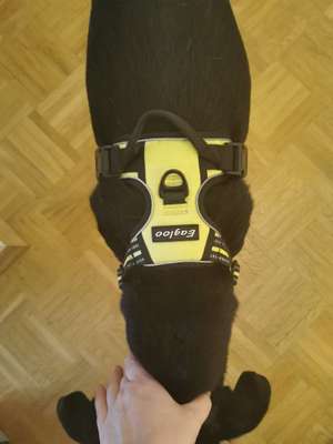 Geschirr Empfehlung-Beitrag-Bild