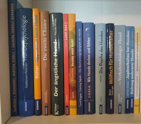 Hunde-Fachliteratur-Beitrag-Bild
