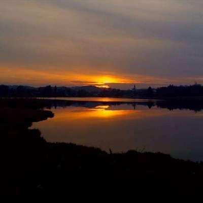 Hundeauslaufgebiet-Bayersoier See-Bild