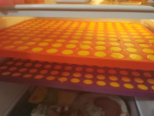 Heute gibt es.....der "ich mach die Leckerlis-Selber-Thread"-Beitrag-Bild