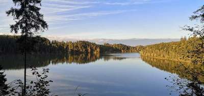 Hundeauslaufgebiet-Bei der Lechtalbrücke-Bild