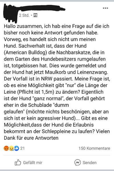 Katze vs. Hund-Beitrag-Bild