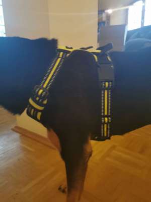 Geschirr Empfehlung-Beitrag-Bild