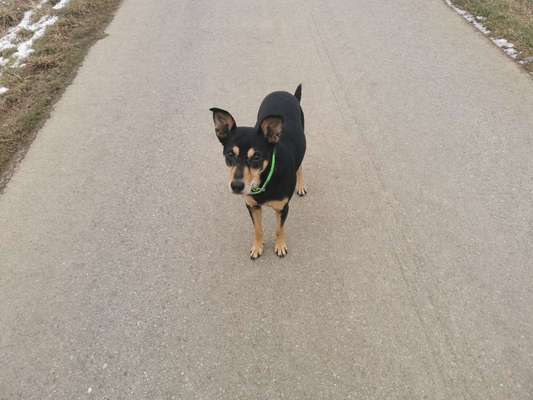 Zeigt mir eure Lieblingsfotos ♡♡-Beitrag-Bild