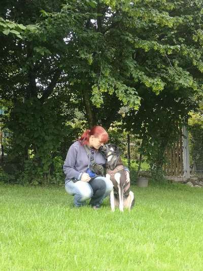 Seelenhunde-Beitrag-Bild