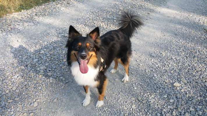 Zeigt eure Portraits-Beitrag-Bild