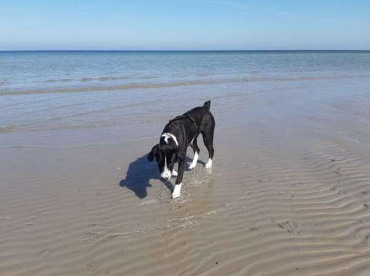 Eure Strandbilder :)-Beitrag-Bild