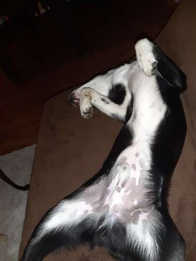 Die unbequemsten und lustigsten Schlafpositionen-Beitrag-Bild