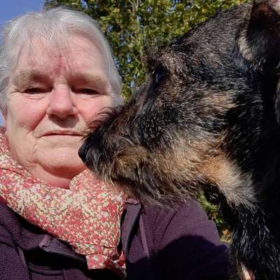 Hundetreffen-Kleinere Hunde-Profilbild