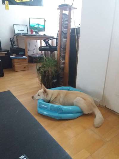 Die unbequemsten und lustigsten Schlafpositionen-Beitrag-Bild