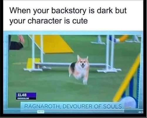 Hunde Memes-Beitrag-Bild