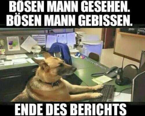 Hunde Memes-Beitrag-Bild