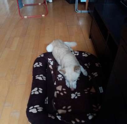 Die unbequemsten und lustigsten Schlafpositionen-Beitrag-Bild