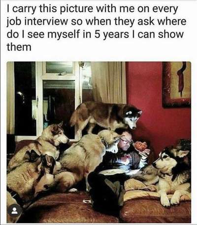 Hier ist der Spaßthread. Zum Schmunzeln und Kaputtlachen-Beitrag-Bild