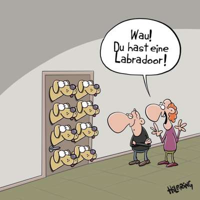 Hunde Memes-Beitrag-Bild