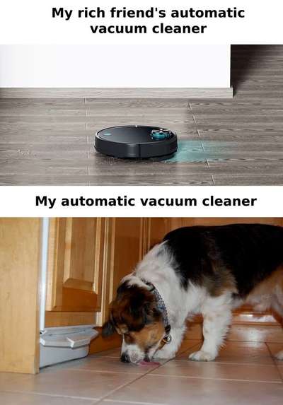 Hunde Memes-Beitrag-Bild