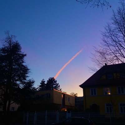 Die wunderschöne Welt mit Hund.-Beitrag-Bild