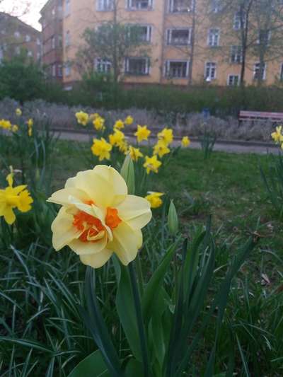 Die wunderschöne Welt mit Hund.-Beitrag-Bild