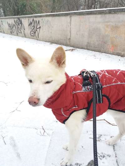 Pullis, Jacken, Hütte und alles sonstiges-Beitrag-Bild