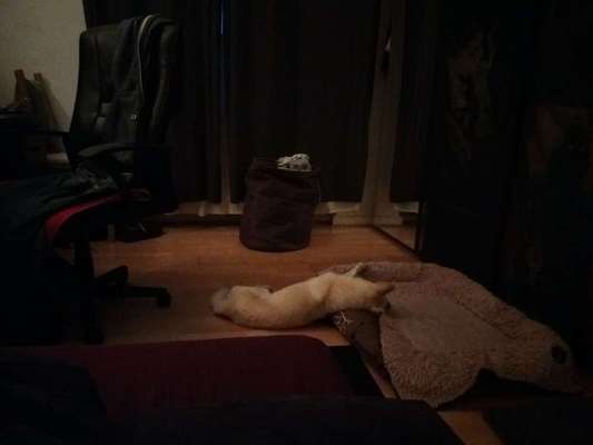 Die unbequemsten und lustigsten Schlafpositionen-Beitrag-Bild