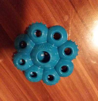 Kong Alternativen - Tipps gesucht-Beitrag-Bild