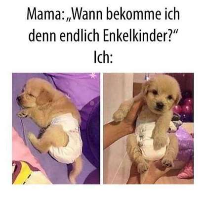 Hier ist der Spaßthread. Zum Schmunzeln und Kaputtlachen-Beitrag-Bild